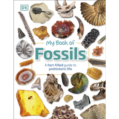 Dorling Kindersley Ltd My Book of Fossils (inbunden, eng)