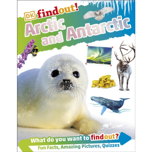 Dorling Kindersley Ltd DKFindout! Arctic and Antarctic (häftad, eng)