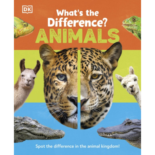 Dorling Kindersley Ltd What's the Difference? Animals (inbunden, eng)