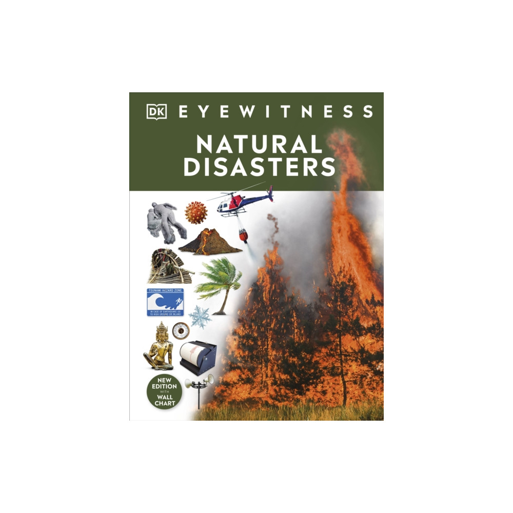Produktbild för Natural Disasters (inbunden, eng)