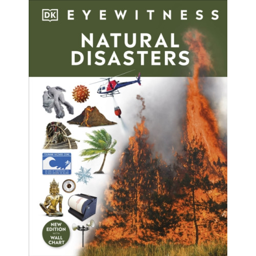 Dorling Kindersley Ltd Natural Disasters (inbunden, eng)