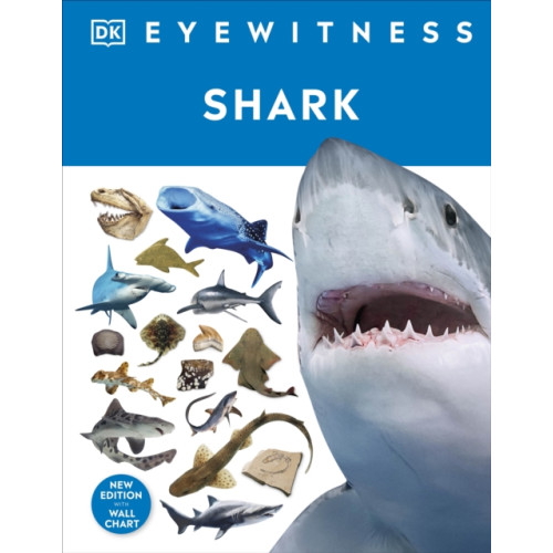 Dorling Kindersley Ltd Shark (inbunden, eng)