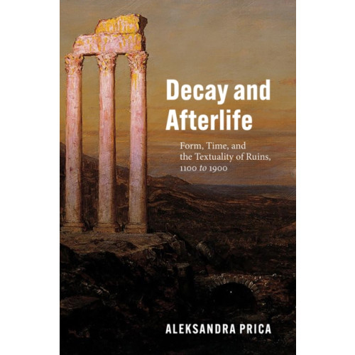 The university of chicago press Decay and Afterlife (häftad, eng)