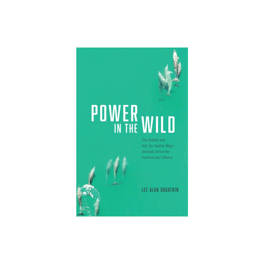 Produktbild för Power in the Wild (inbunden, eng)