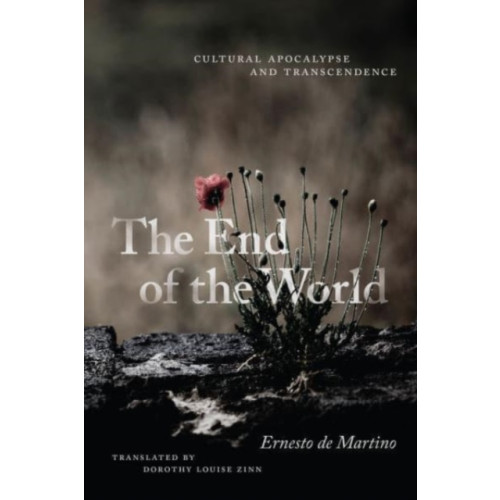 The university of chicago press The End of the World (häftad, eng)