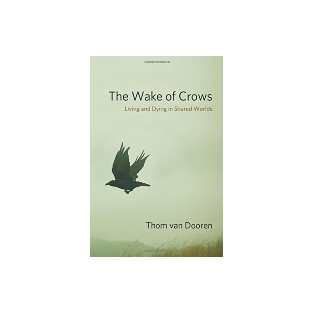 Produktbild för The Wake of Crows (inbunden, eng)