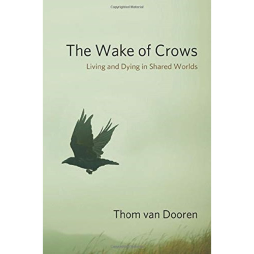Columbia university press The Wake of Crows (inbunden, eng)