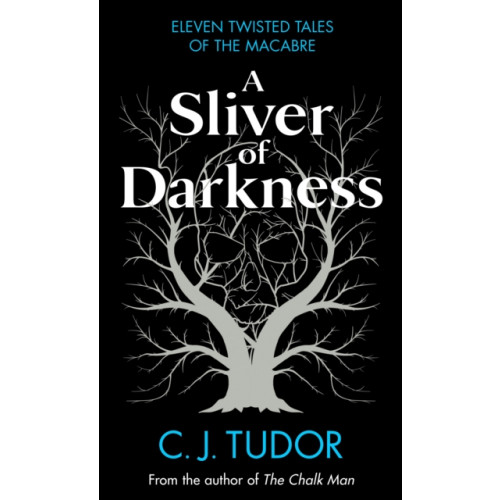 Penguin books ltd A Sliver of Darkness (inbunden, eng)