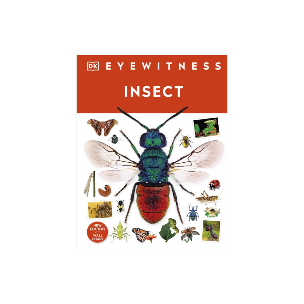 Produktbild för Insect (inbunden, eng)