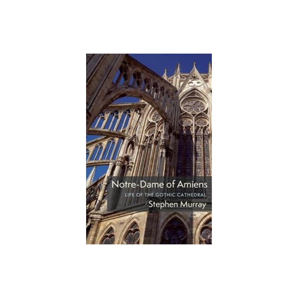 Produktbild för Notre-Dame of Amiens (inbunden, eng)