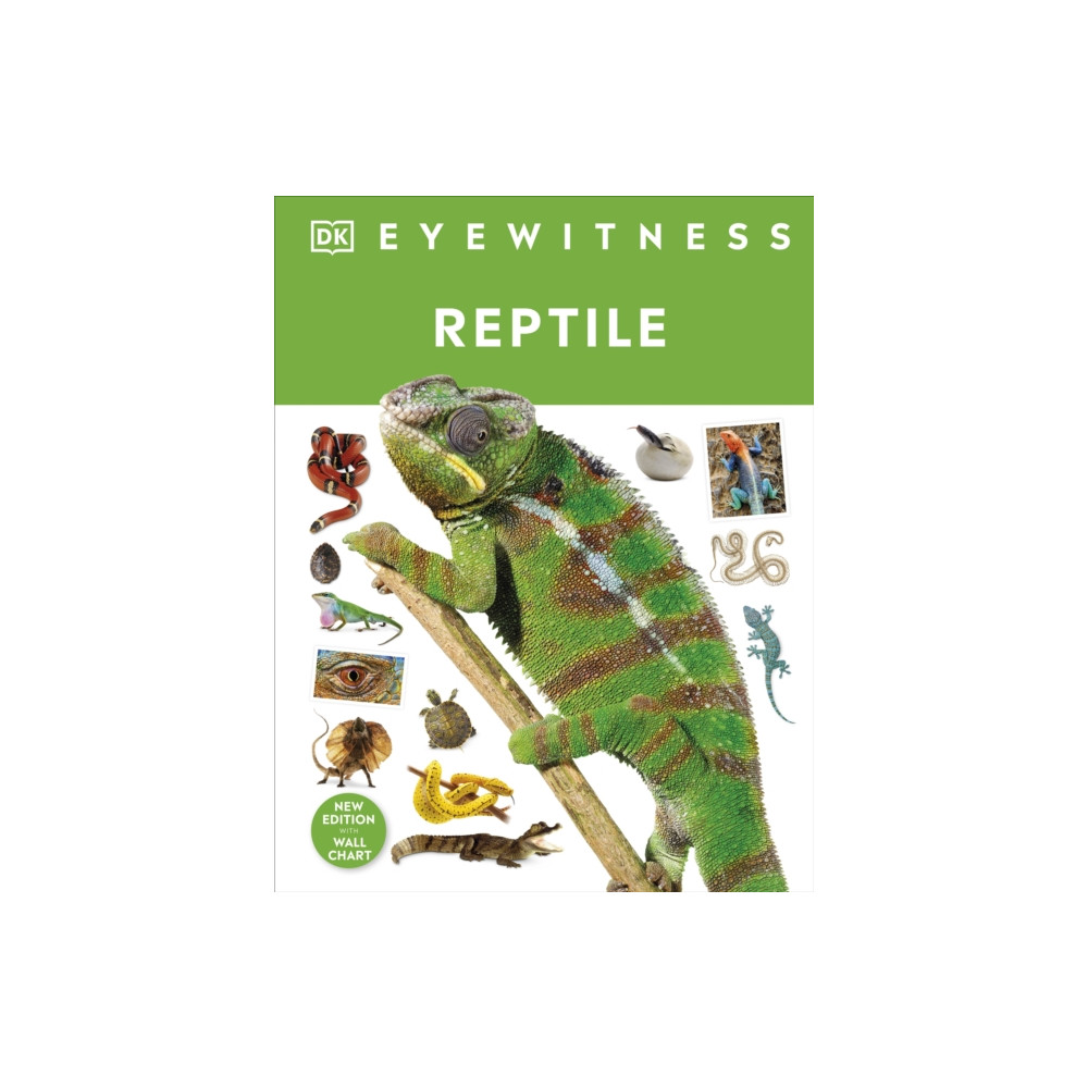 Produktbild för Reptile (inbunden, eng)
