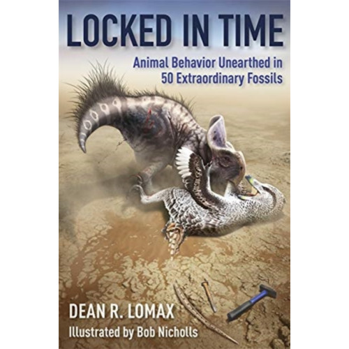 Columbia university press Locked in Time (inbunden, eng)