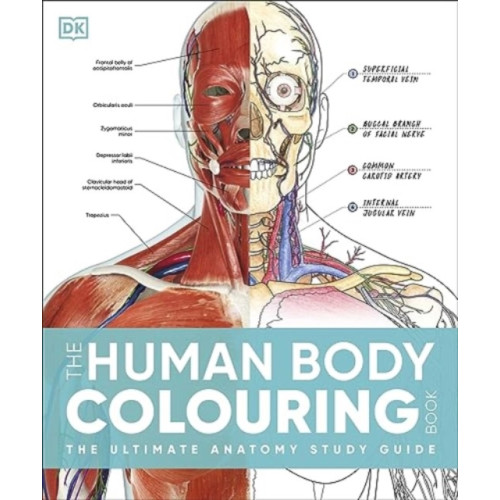 Dorling Kindersley Ltd The Human Body Colouring Book (häftad, eng)