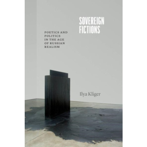 The university of chicago press Sovereign Fictions (häftad, eng)