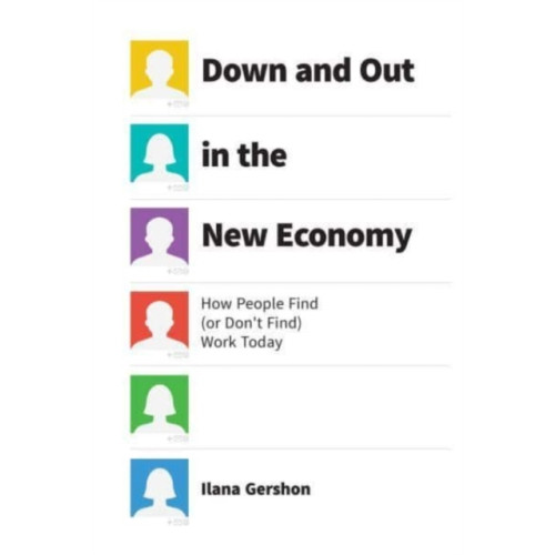 The university of chicago press Down and Out in the New Economy (häftad, eng)