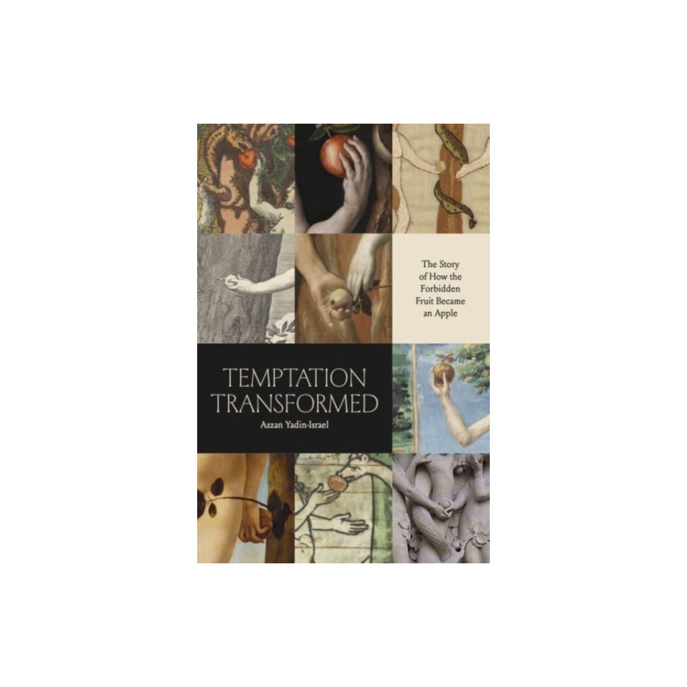 Produktbild för Temptation Transformed (häftad, eng)