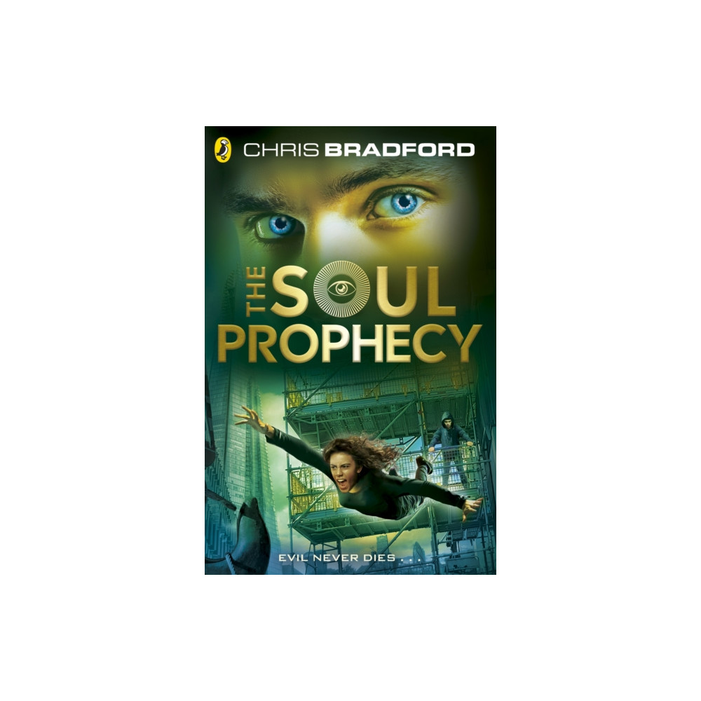 Produktbild för The Soul Prophecy (häftad, eng)