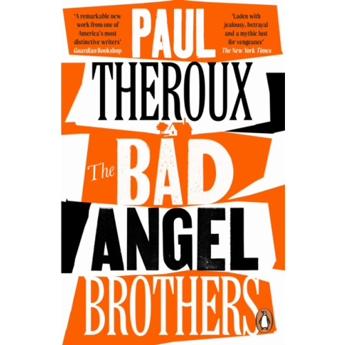 Penguin books ltd The Bad Angel Brothers (häftad, eng)