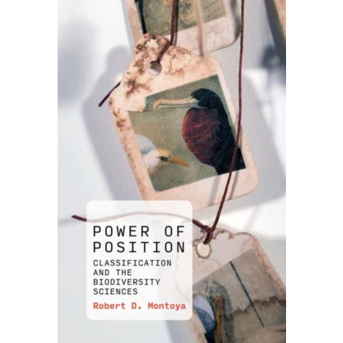 Mit press ltd Power of Position (häftad, eng)