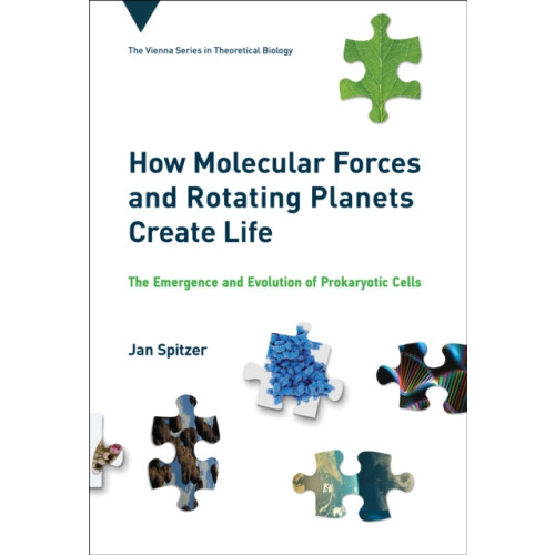 Mit press ltd How Molecular Forces and Rotating Planets Create Life (inbunden, eng)