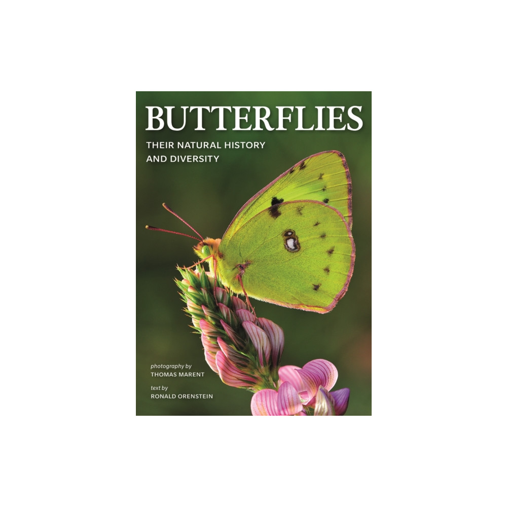 Produktbild för Butterflies: Their Natural History and Diversity (häftad, eng)