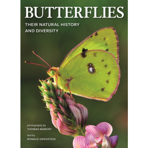 Firefly Books Ltd Butterflies: Their Natural History and Diversity (häftad, eng)