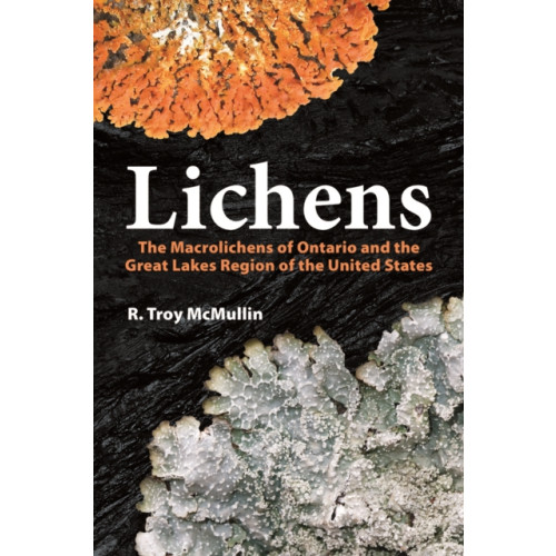 Firefly Books Ltd Lichens (inbunden, eng)