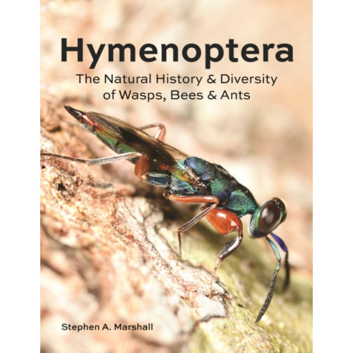 Firefly Books Ltd Hymenoptera (inbunden, eng)