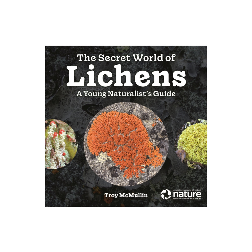Produktbild för The Secret World of Lichens (häftad, eng)