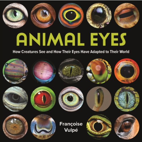 Firefly Books Ltd Animal Eyes (häftad, eng)