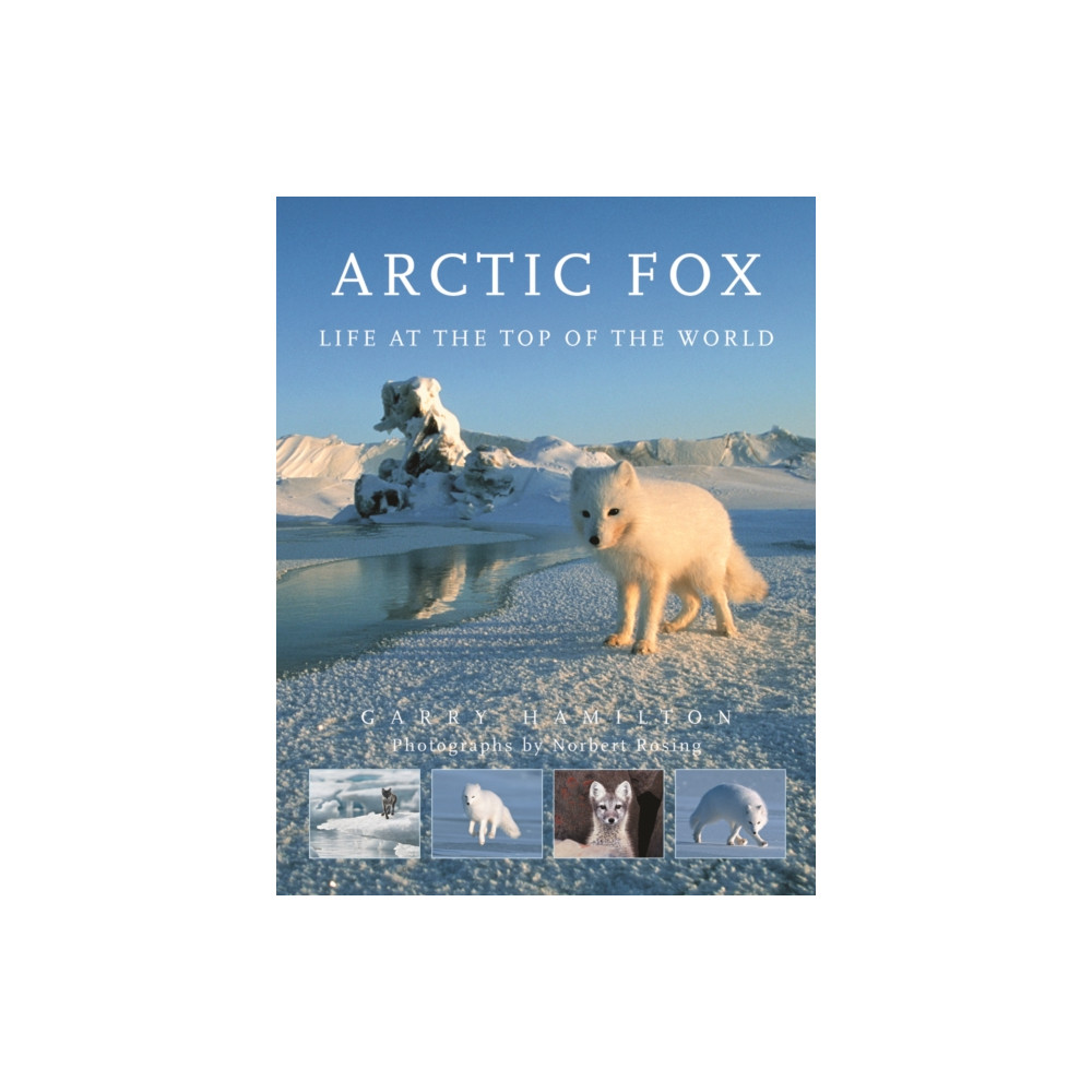 Produktbild för Arctic Fox (häftad, eng)