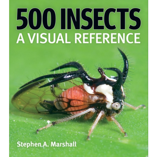 Firefly Books Ltd 500 Insects: A Visual Reference (häftad, eng)