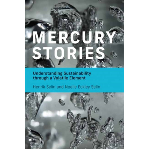 Mit press ltd Mercury Stories (häftad, eng)