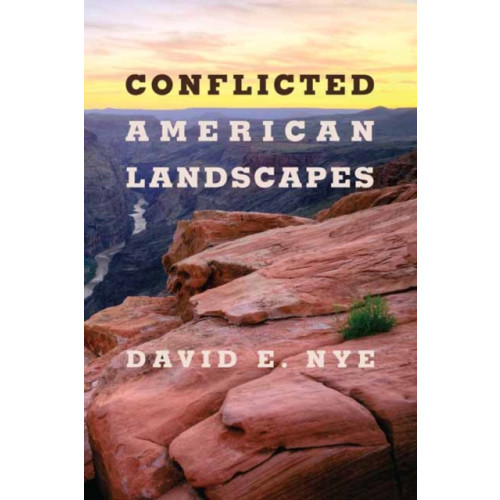Mit press ltd Conflicted American Landscapes (häftad, eng)