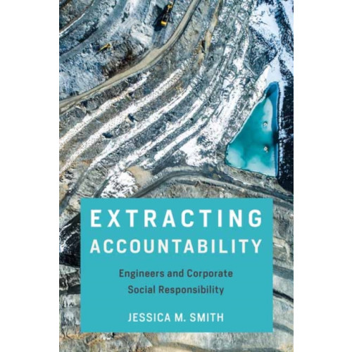 Mit press ltd Extracting Accountability (häftad, eng)