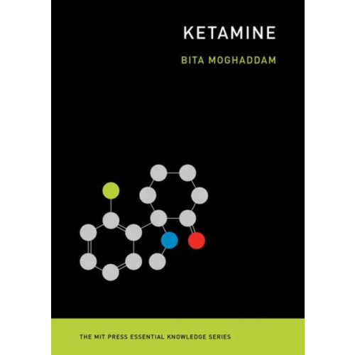 Mit press ltd Ketamine (häftad, eng)