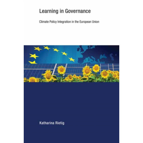 Mit press ltd Learning in Governance (häftad, eng)