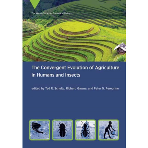 Mit press ltd The Convergent Evolution of Agriculture in Humans and Insects (häftad, eng)