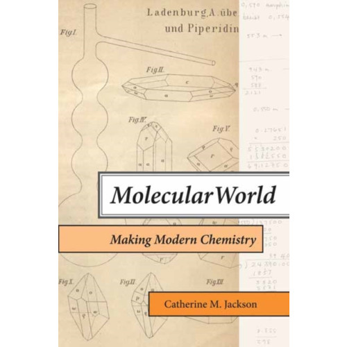 Mit press ltd Molecular World (häftad, eng)