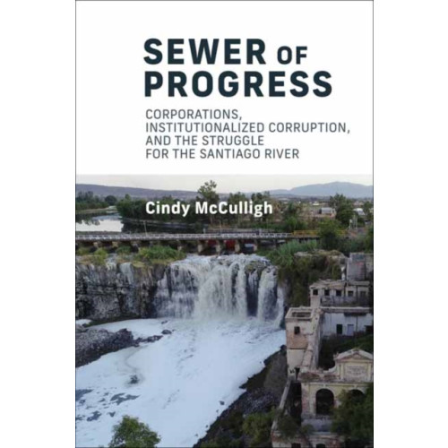 Mit press ltd Sewer of Progress (häftad, eng)
