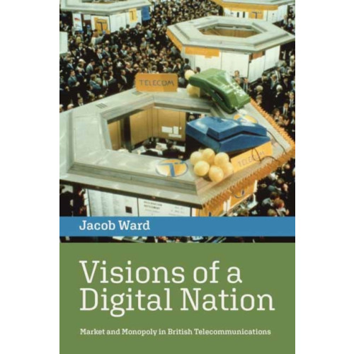Mit press ltd Visions of a Digital Nation (häftad, eng)