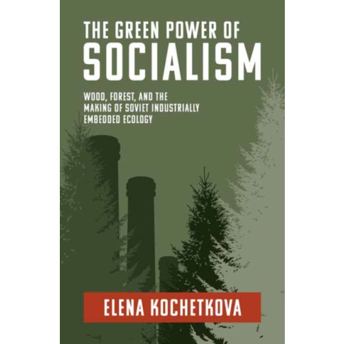 Mit press ltd The Green Power of Socialism (häftad, eng)