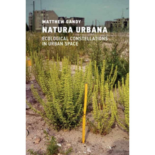 Mit press ltd Natura Urbana (häftad, eng)