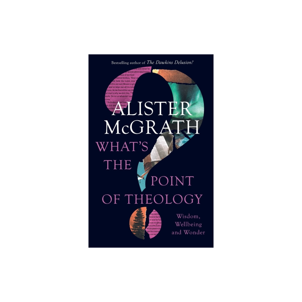 Produktbild för What's the Point of Theology? (häftad, eng)