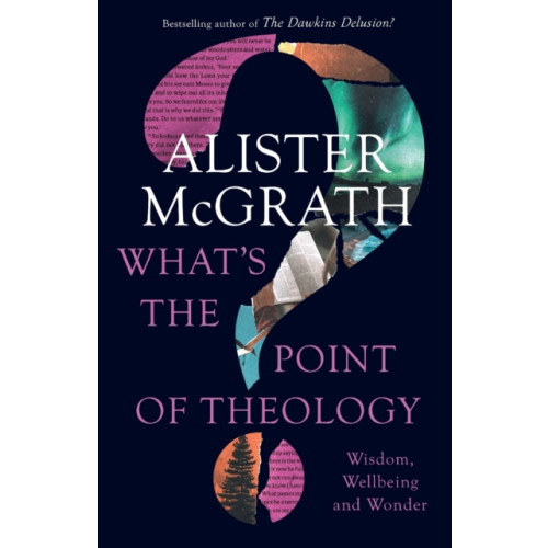 Spck publishing What's the Point of Theology? (häftad, eng)