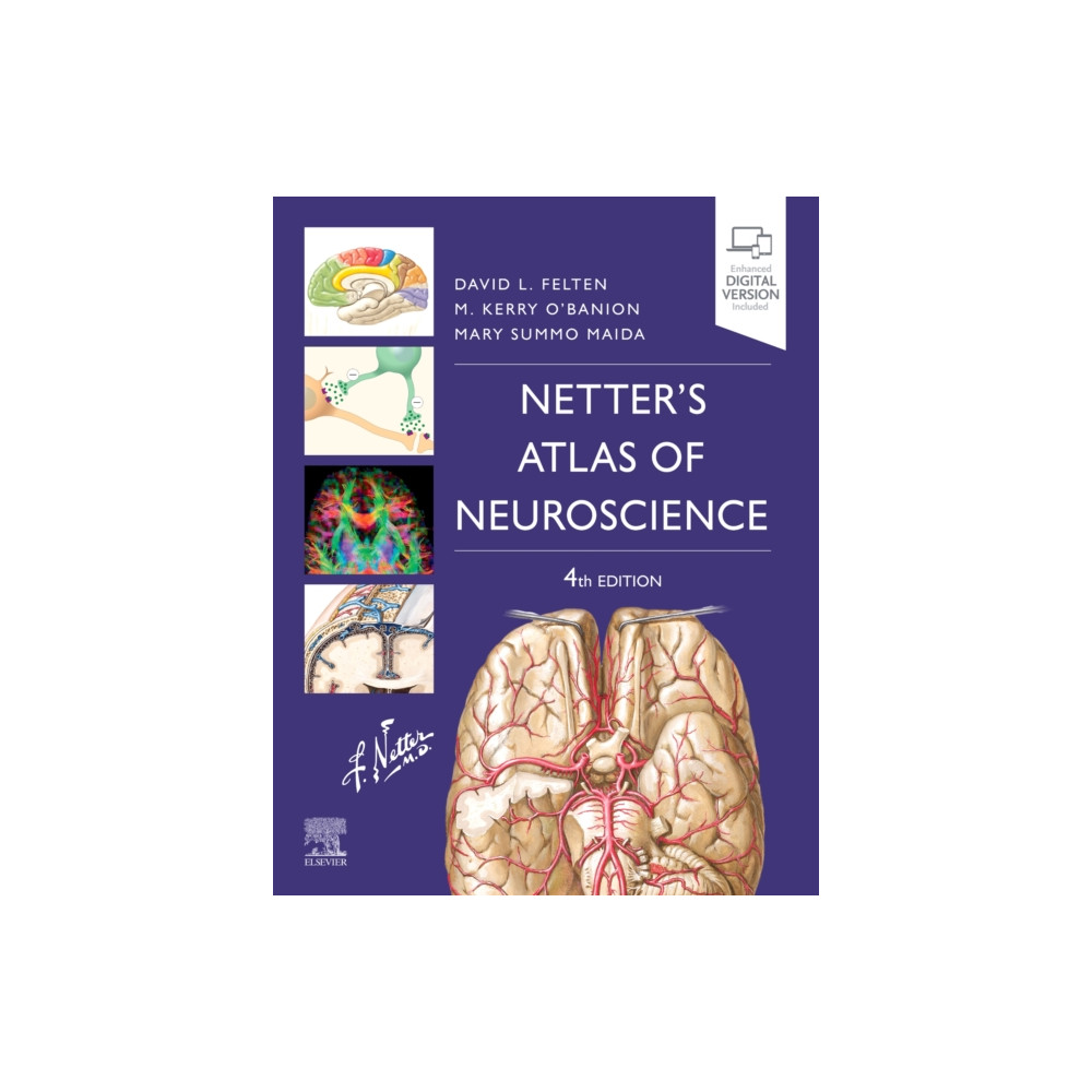 Produktbild för Netter's Atlas of Neuroscience (häftad, eng)