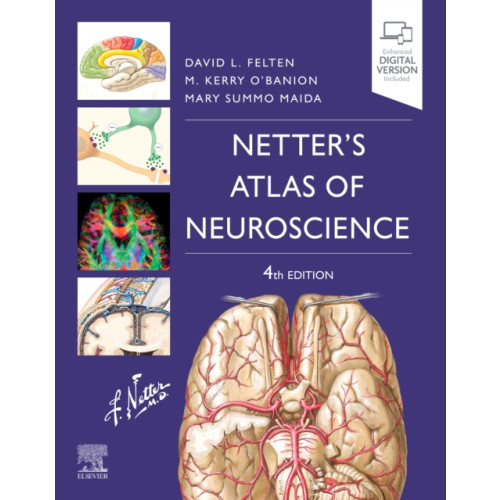 Elsevier - Health Sciences Division Netter's Atlas of Neuroscience (häftad, eng)
