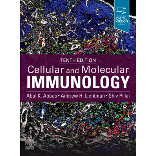 Elsevier - Health Sciences Division Cellular and Molecular Immunology (häftad, eng)