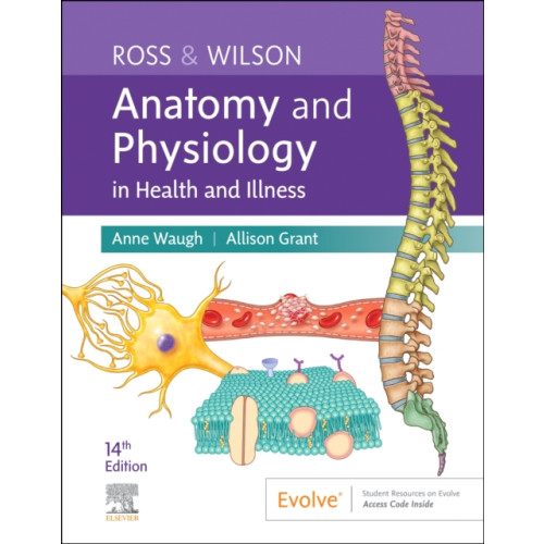 Elsevier - Health Sciences Division Ross & Wilson Anatomy and Physiology in Health and Illness (häftad, eng)