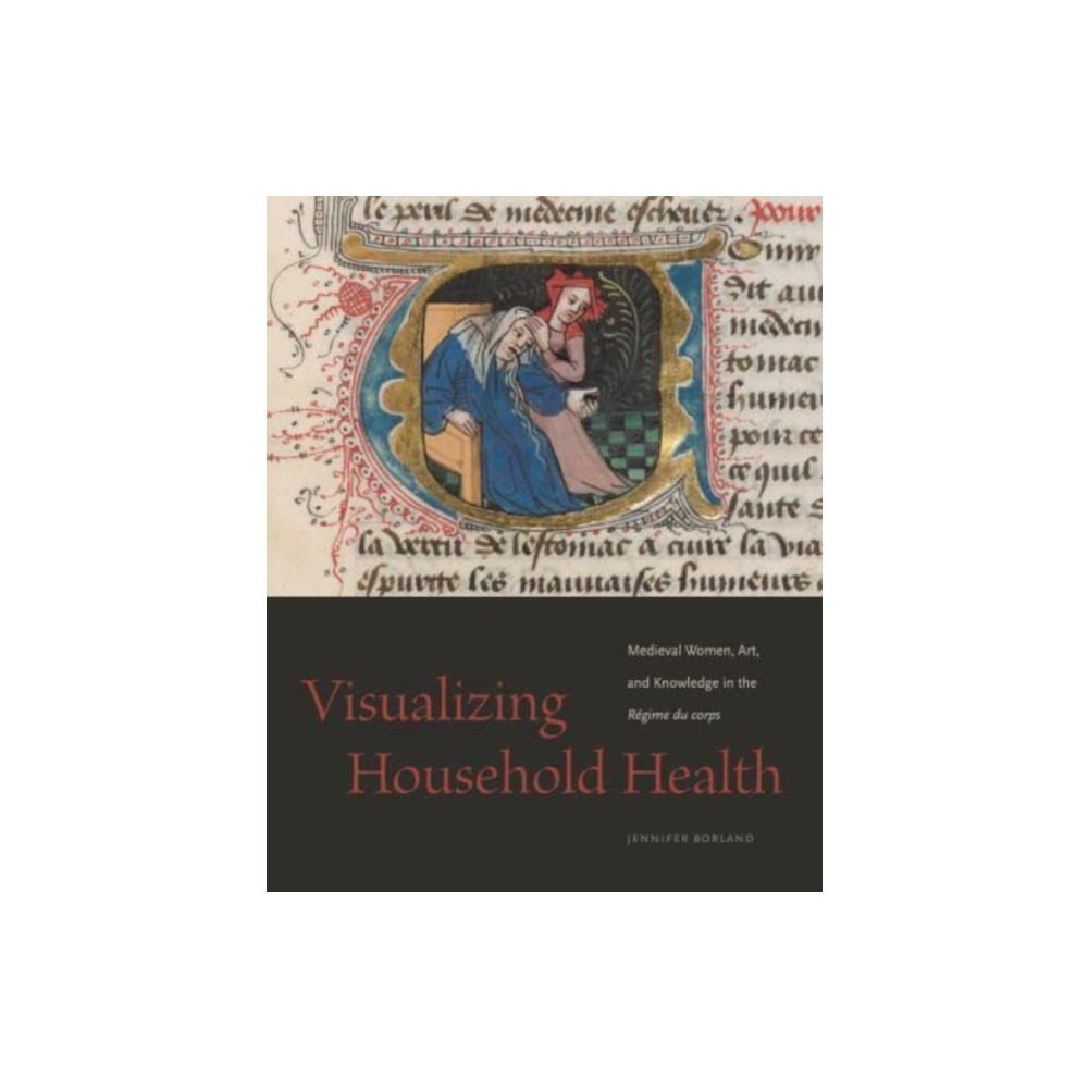 Produktbild för Visualizing Household Health (häftad, eng)